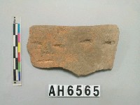 藏品(褐色夾砂陶口緣)的圖片